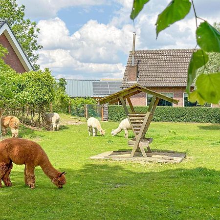 Alpacafarm Vorstenbosch Exterior photo