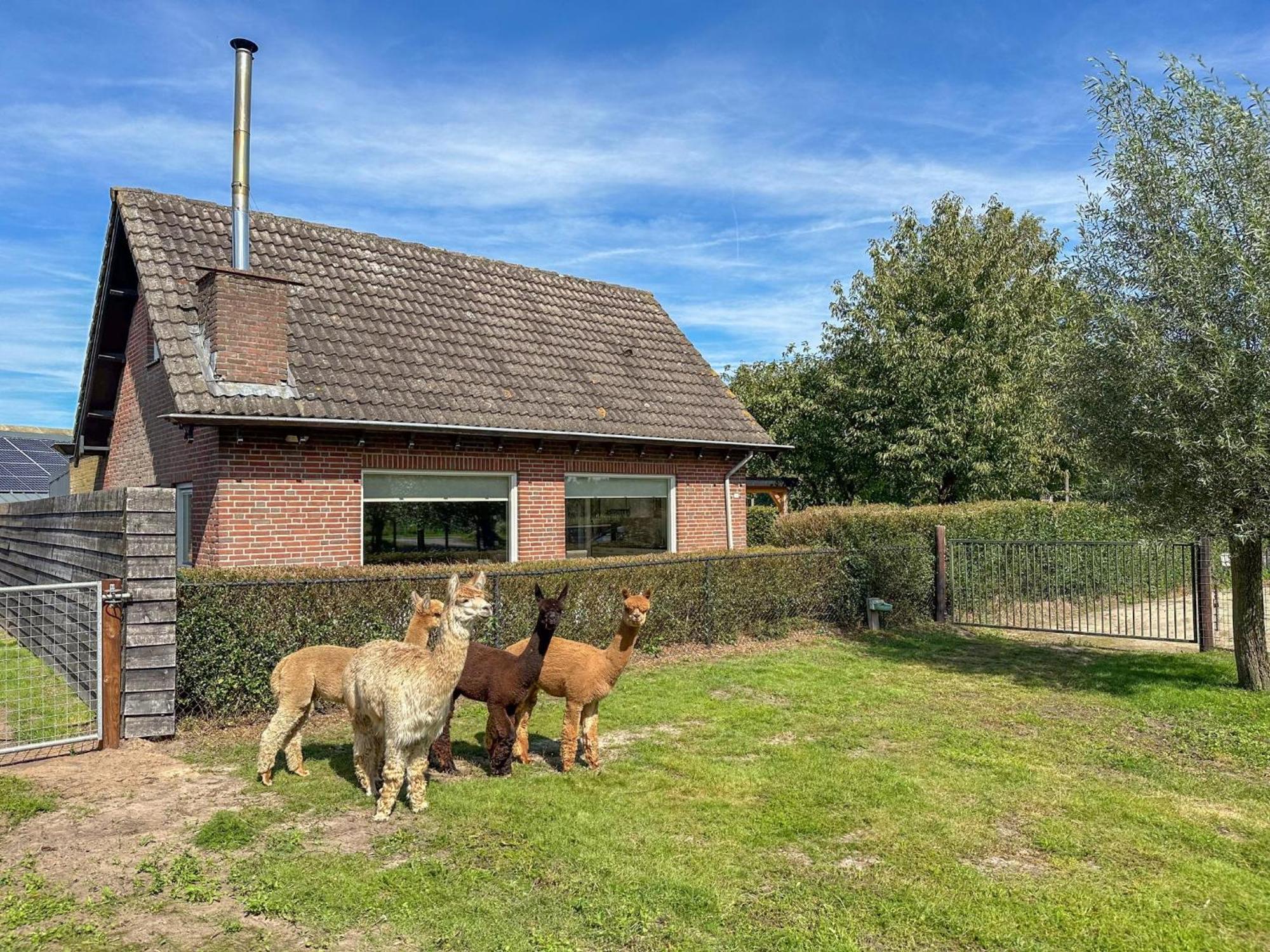 Alpacafarm Vorstenbosch Exterior photo