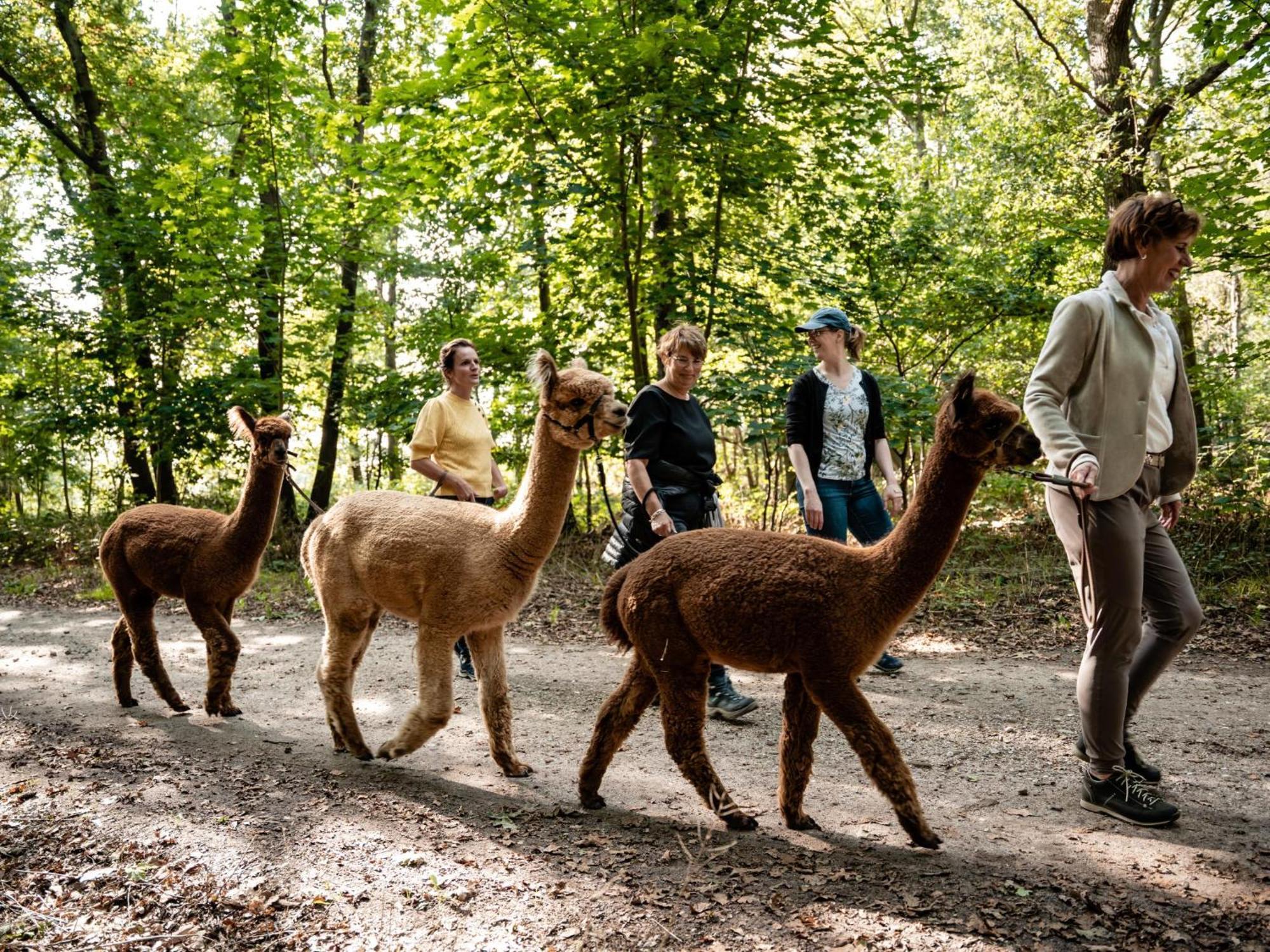 Alpacafarm Vorstenbosch Exterior photo